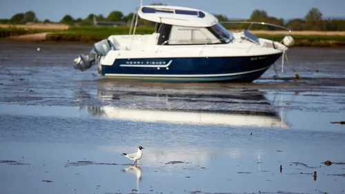 This landscape photograph was taken in the morning during the spring season in Christchurch, Dorset, United Kingdom. The main subject is a Black-headed gull standing on the reflective surface of the mudflats in the foreground, with a boat anchored behind it, highlighting the themes of birds and transport. The boat, which is clearly visible, adds nautical interest and is complemented by calm waters and green fields in the background, characteristic of the regional scenery. The image captures a peaceful moment where wildlife and boating coexist, typical of Christchurch’s connection to Dorset’s waters.